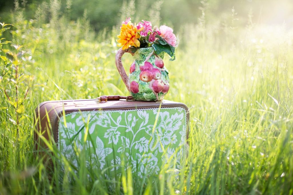 summer still-life, suitcase in field, grass